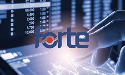 Forte Teknoloji Halka Arz Detayları