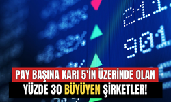 Pay Başına Karı 5'in Üzerinde Olan Yüzde 30'un Üzerinde Büyüyen Şirketler