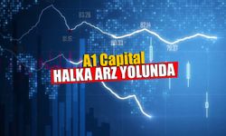 A1 Capital Halka Arz Yolunda
